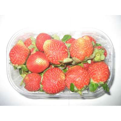 Fresh Strawberry