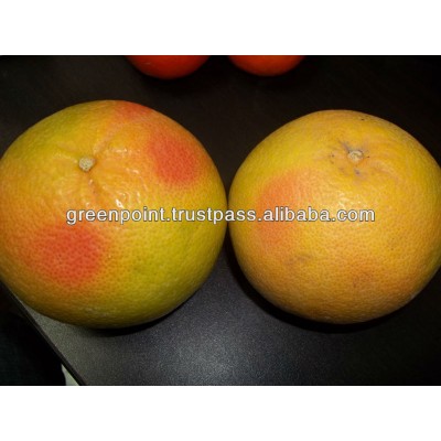 Grapefruits