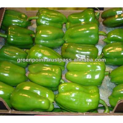 Green Capsicum