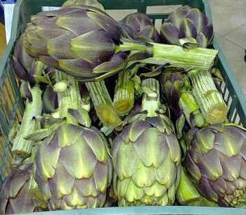 Artichokes