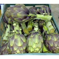 Artichokes